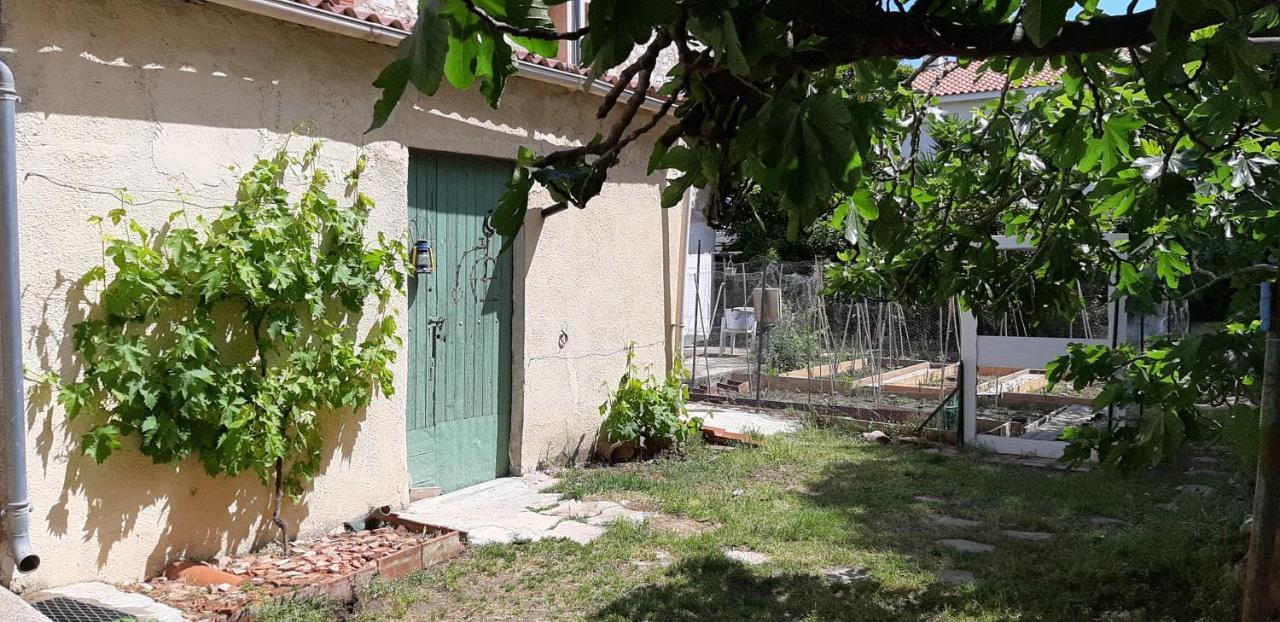 סן-לורן-דה-לה-סלאנק Chambre D'Hotes Du Mas Julianas מראה חיצוני תמונה